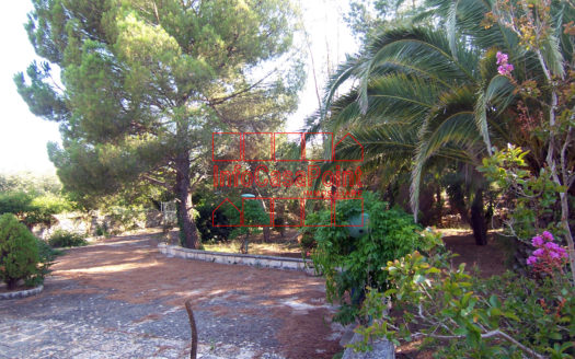Complesso di trulli ristrutturati