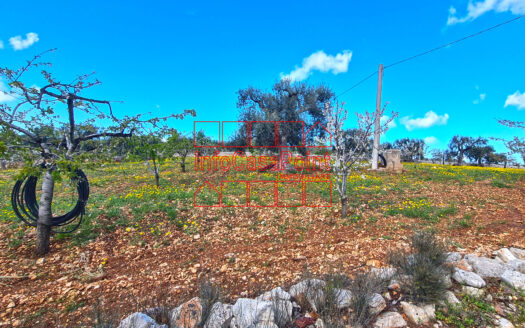 Trulli