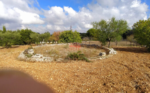 Complesso di Trulli